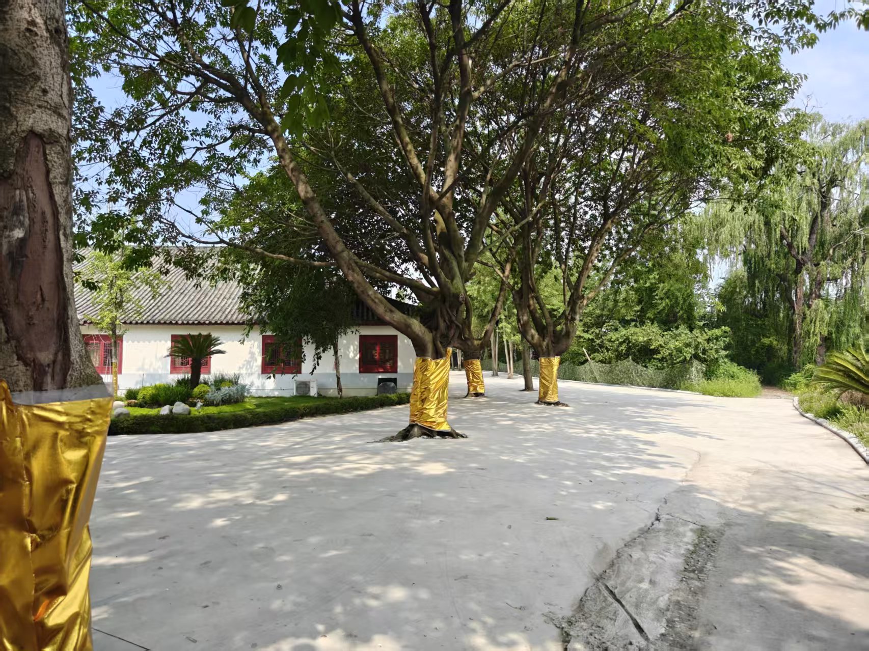 0e4898d8ae835251420540a9e101f10b